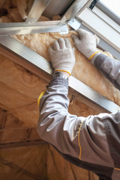 Best Geographic-Specific Insulation Services in Cypress Quarters, FL