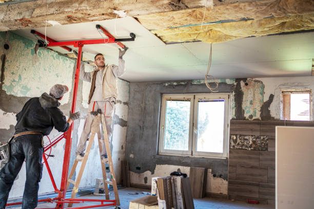 Best Eco-Friendly Insulation in Cypress Quarters, FL