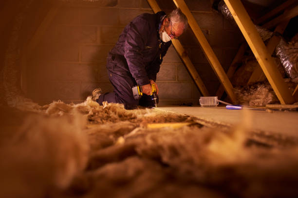 Best Cellulose Insulation in Cypress Quarters, FL