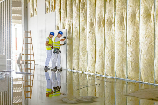 Best Blown-in Insulation in Cypress Quarters, FL